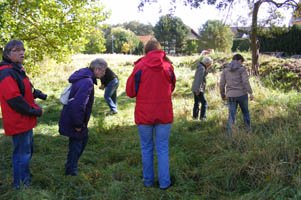 Bild Lindhorst