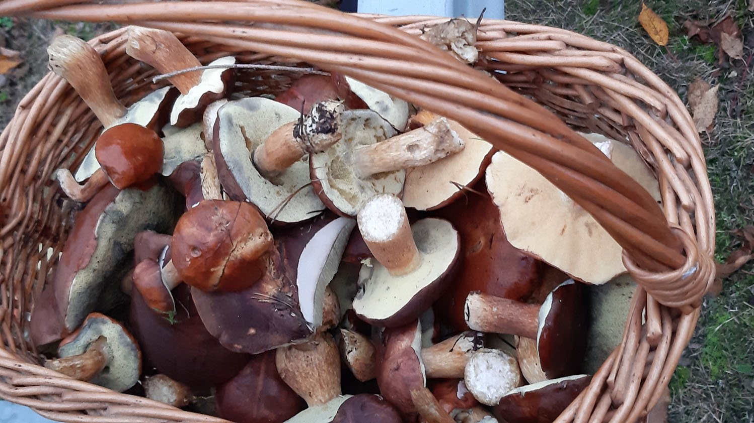 Bild CC OFFENe HEIDe