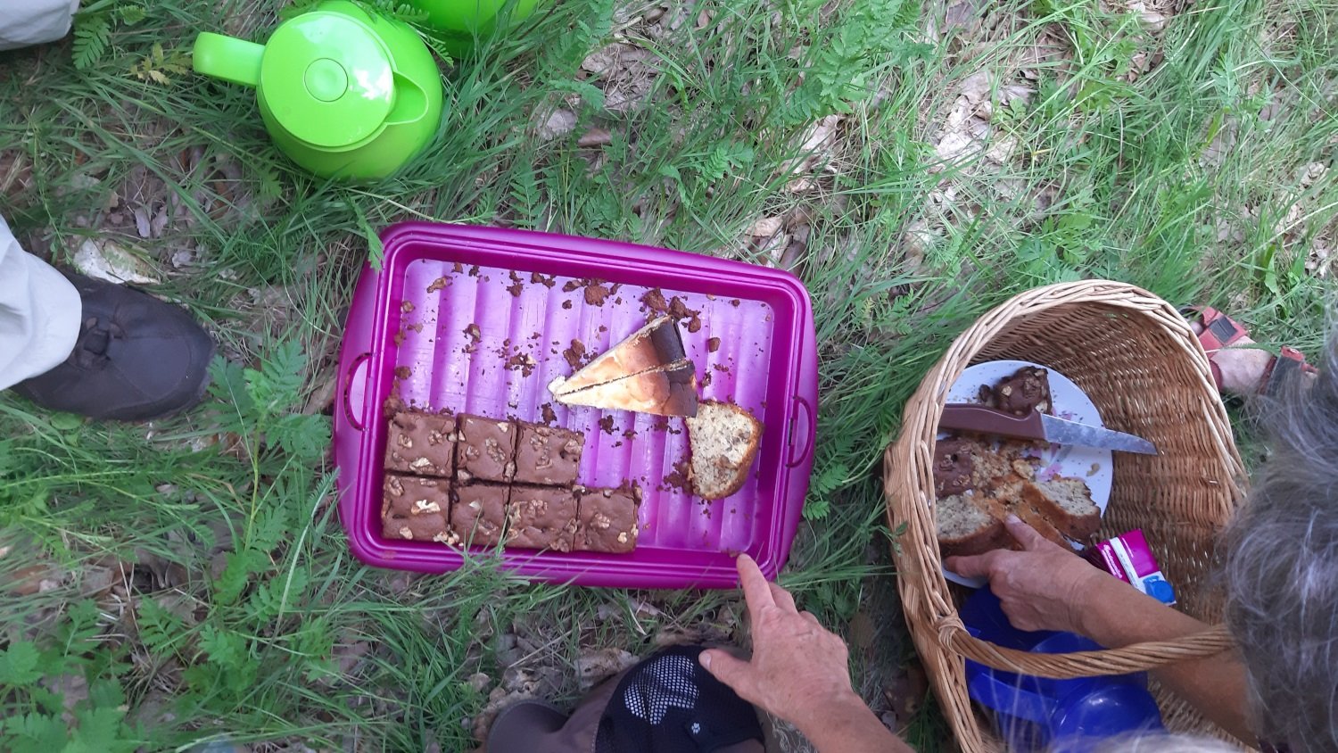 Bild Foto cc BI OFFENe HEIDe