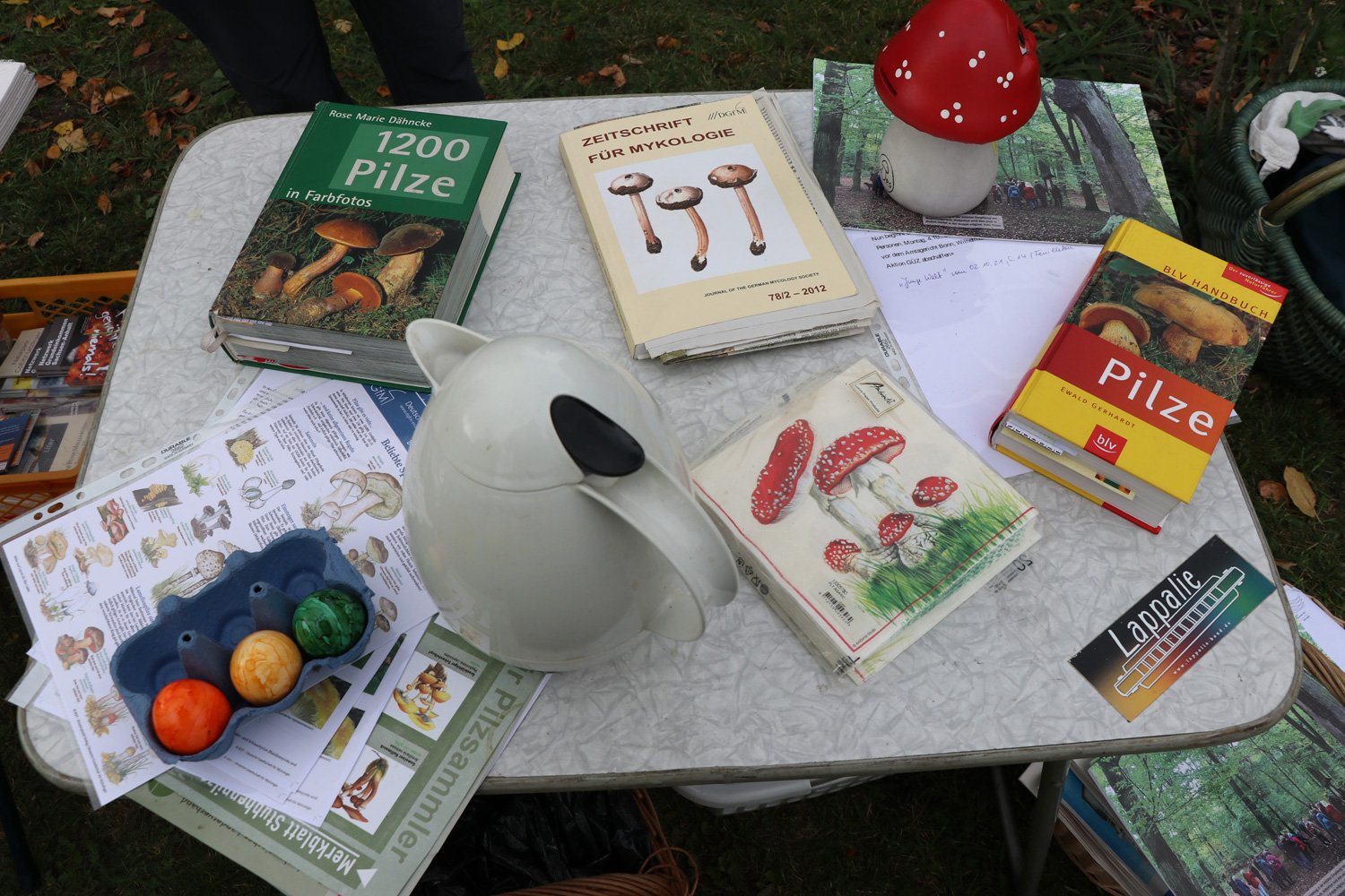 Bild Foto: cc BI OFFENe HEIDe 