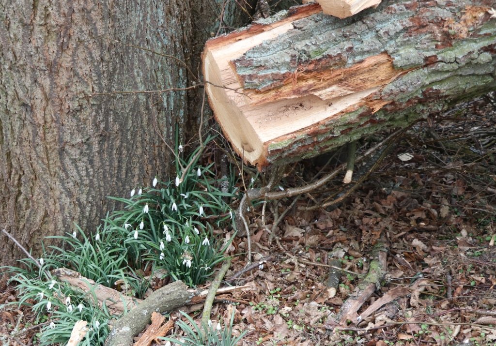 Bild  cc BI OFFENe HEIDe