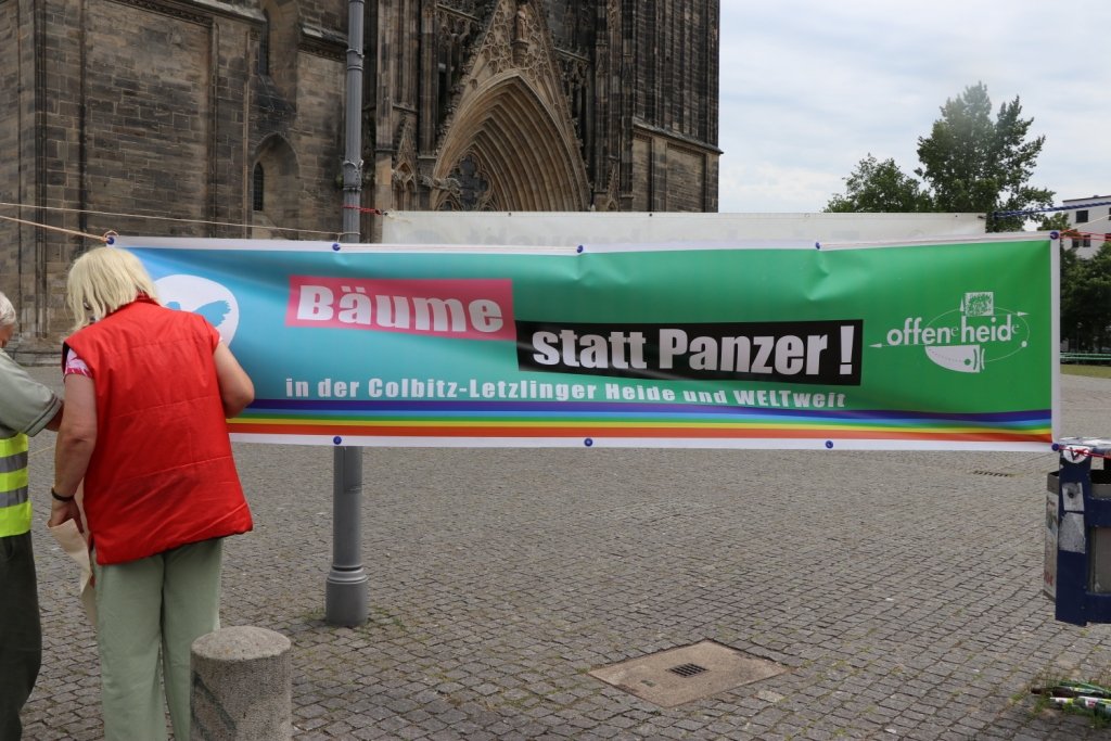 Bild cc BI OFFENE HEIDe