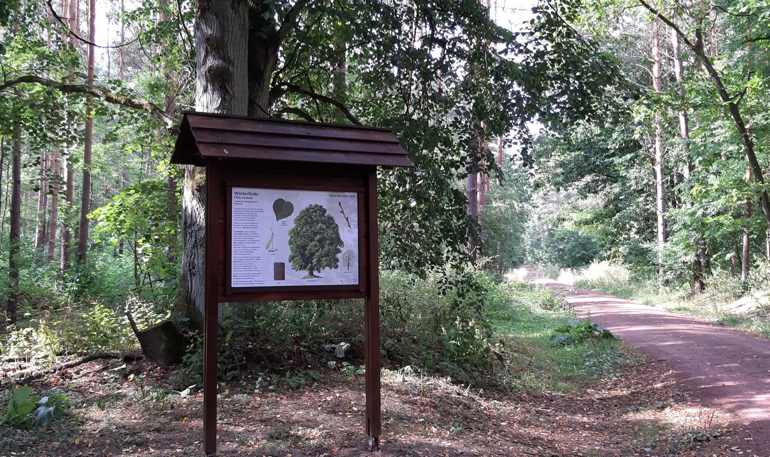 Bild: cc BI OFFENe HEIDe