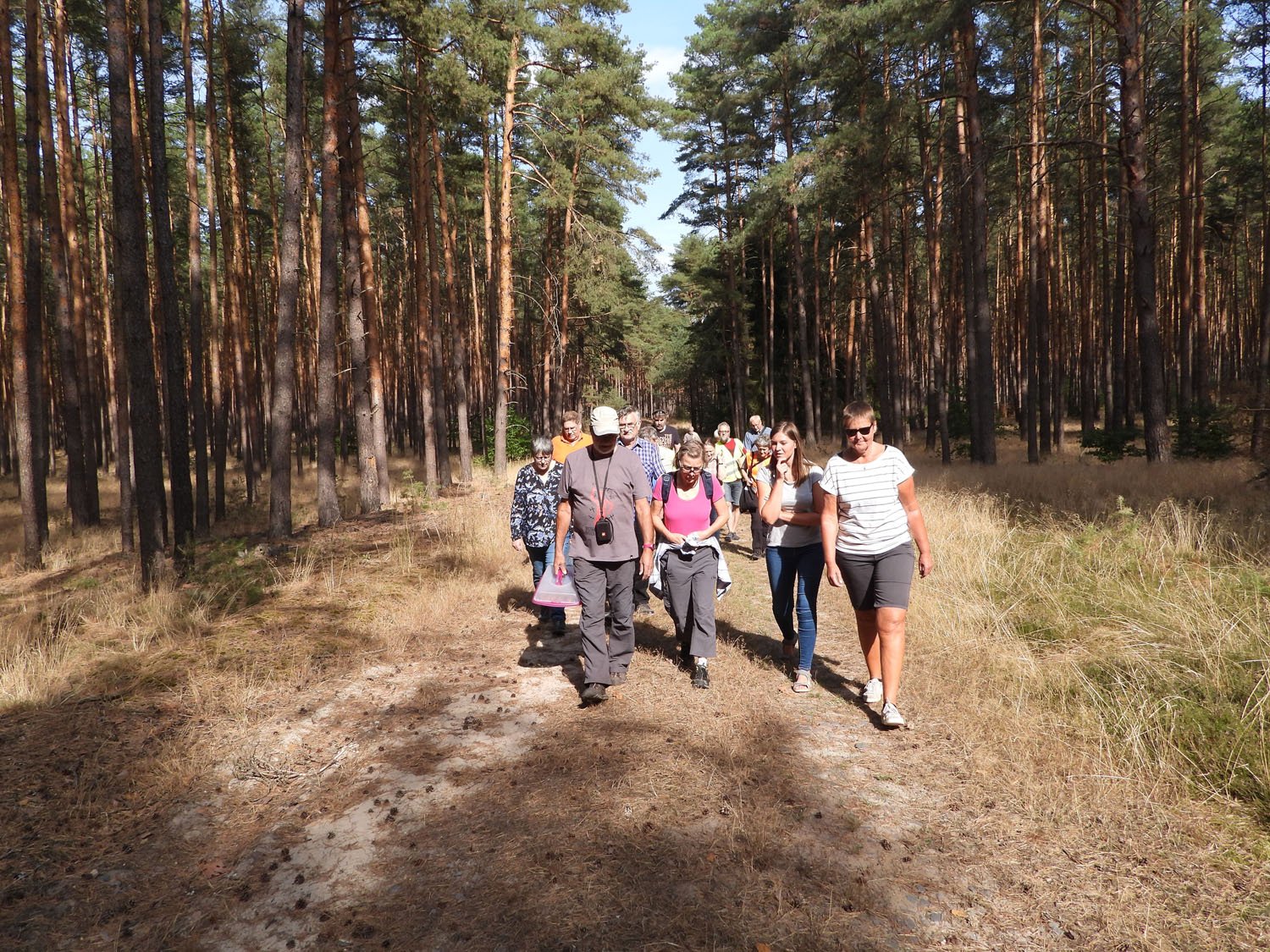 Foto cc BI OFFENe HEIDe 