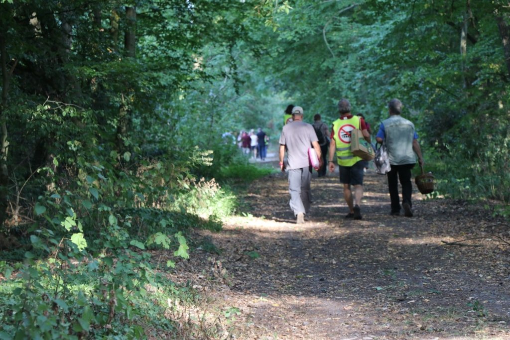 Foto cc BI OFFENe HEIDe 