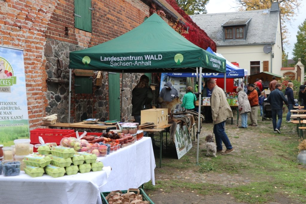 Foto cc: BI OFFENe HEIDe