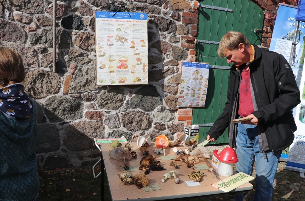 Foto cc: BI OFFENe HEIDe