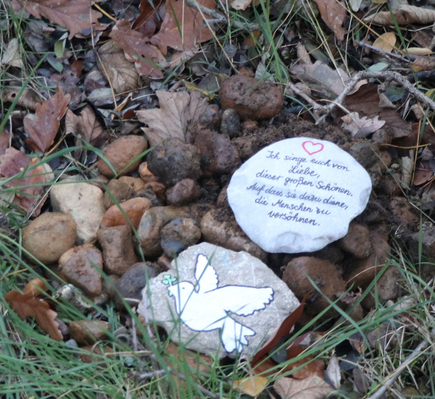 Bild cc: BI OFFENe HEIDe